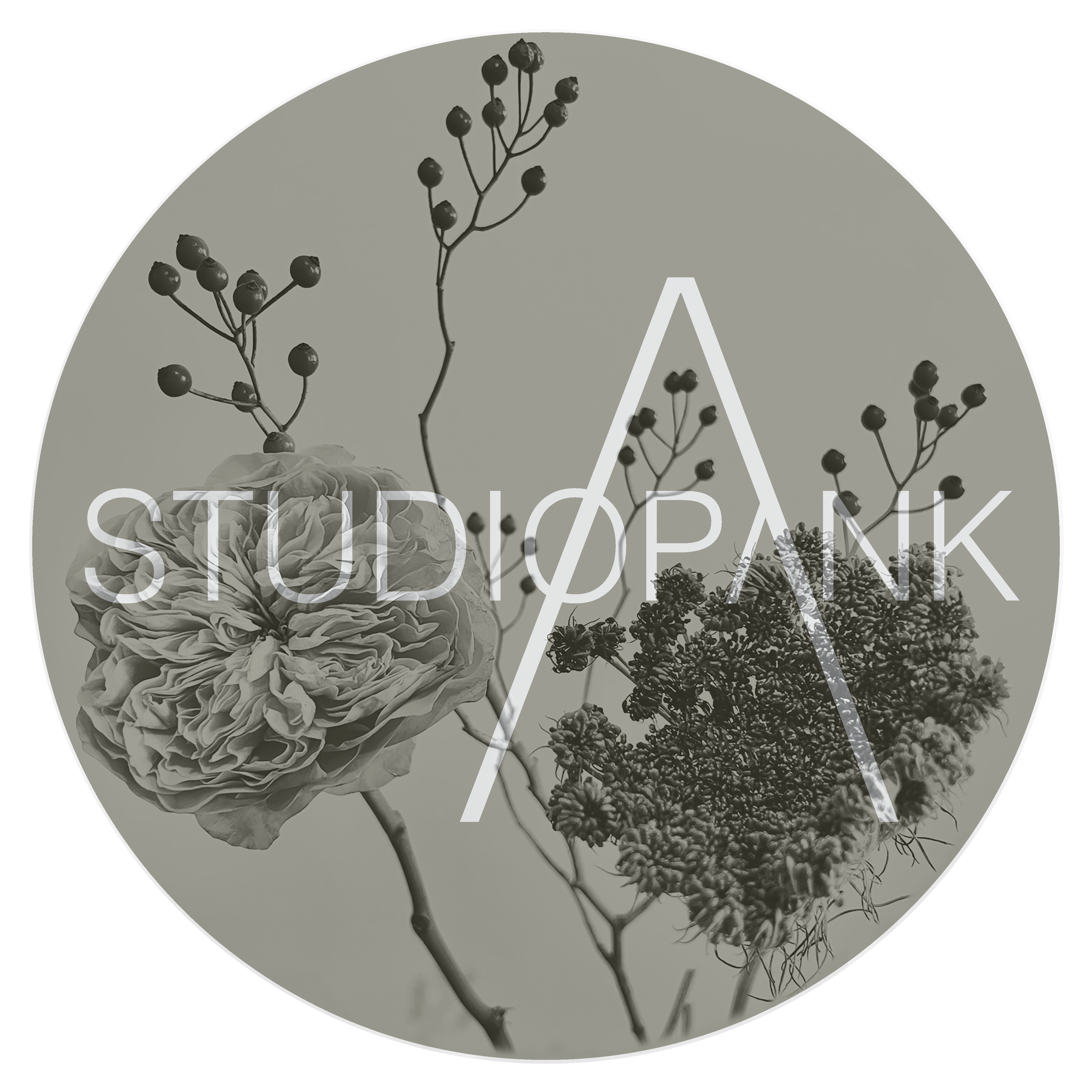 StudioPANK